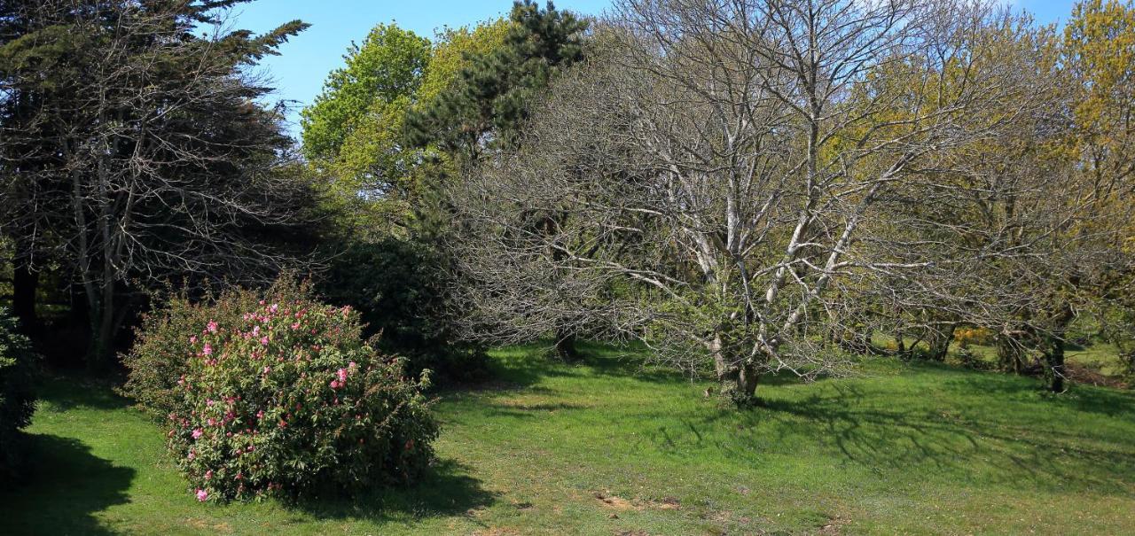 Aux Arbres Chanteurs Ploulech Exteriér fotografie