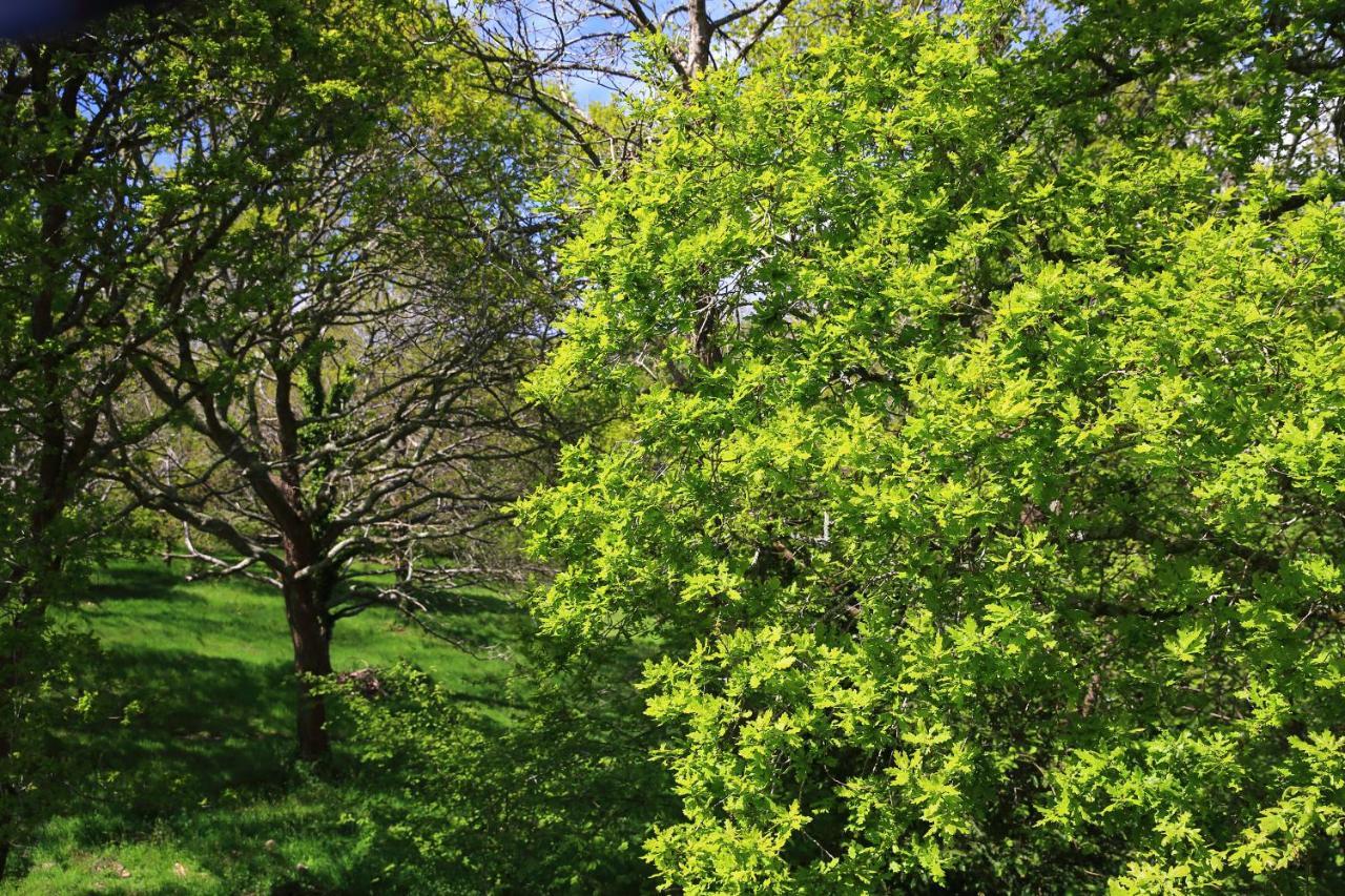 Aux Arbres Chanteurs Ploulech Exteriér fotografie
