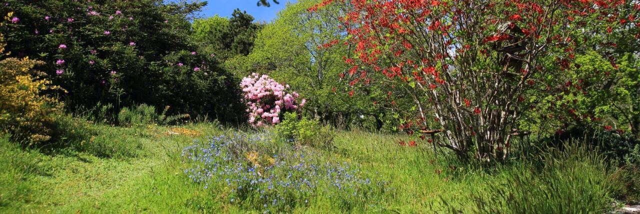Aux Arbres Chanteurs Ploulech Exteriér fotografie