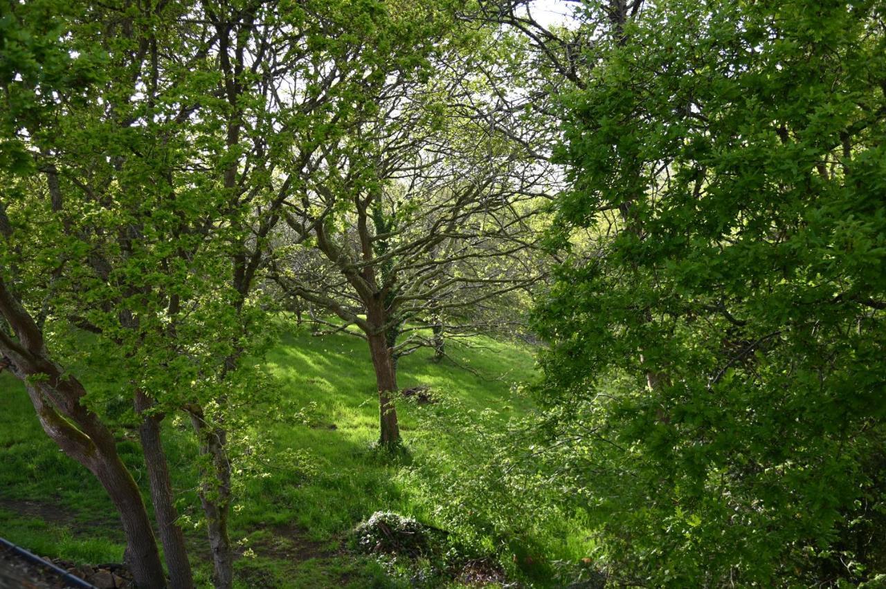 Aux Arbres Chanteurs Ploulech Exteriér fotografie